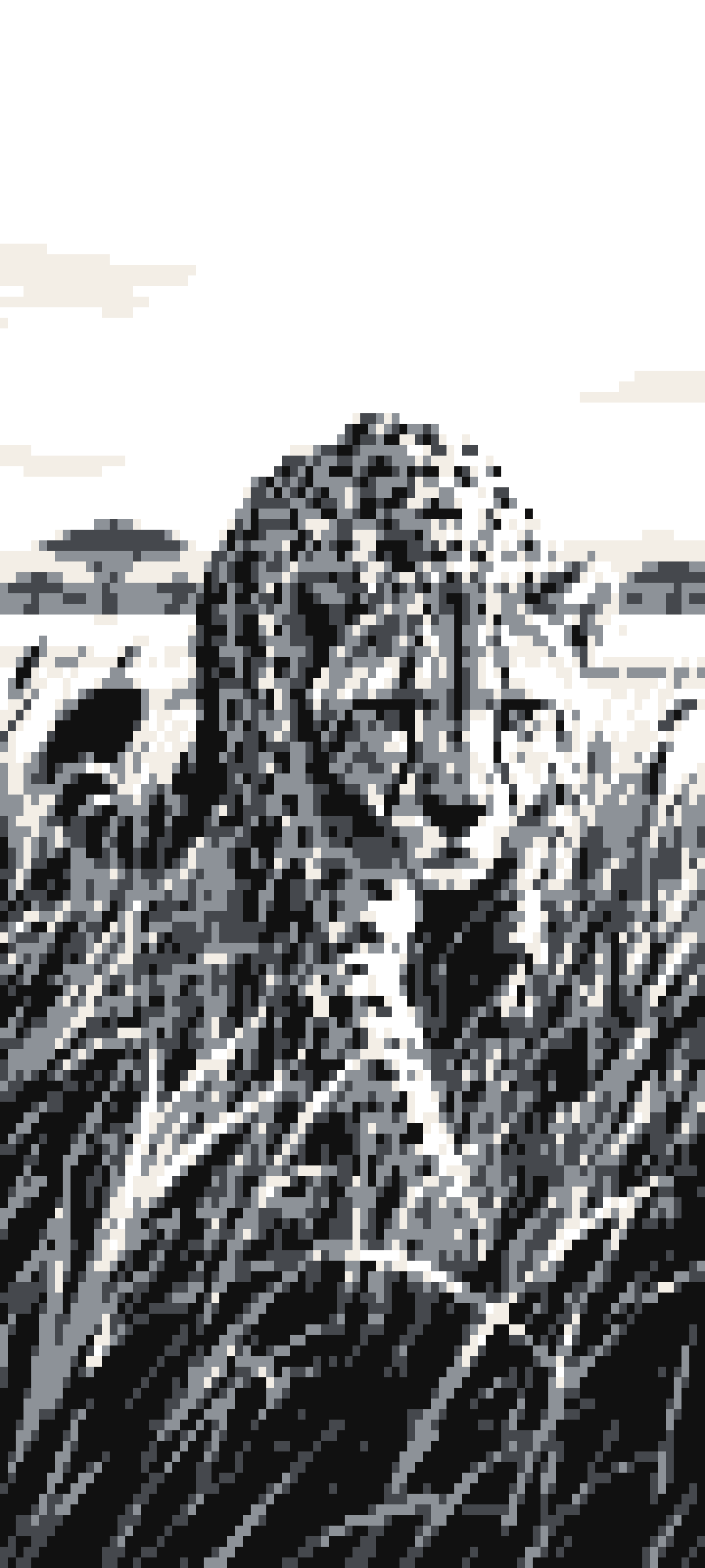 Acinonyx door curtain design
