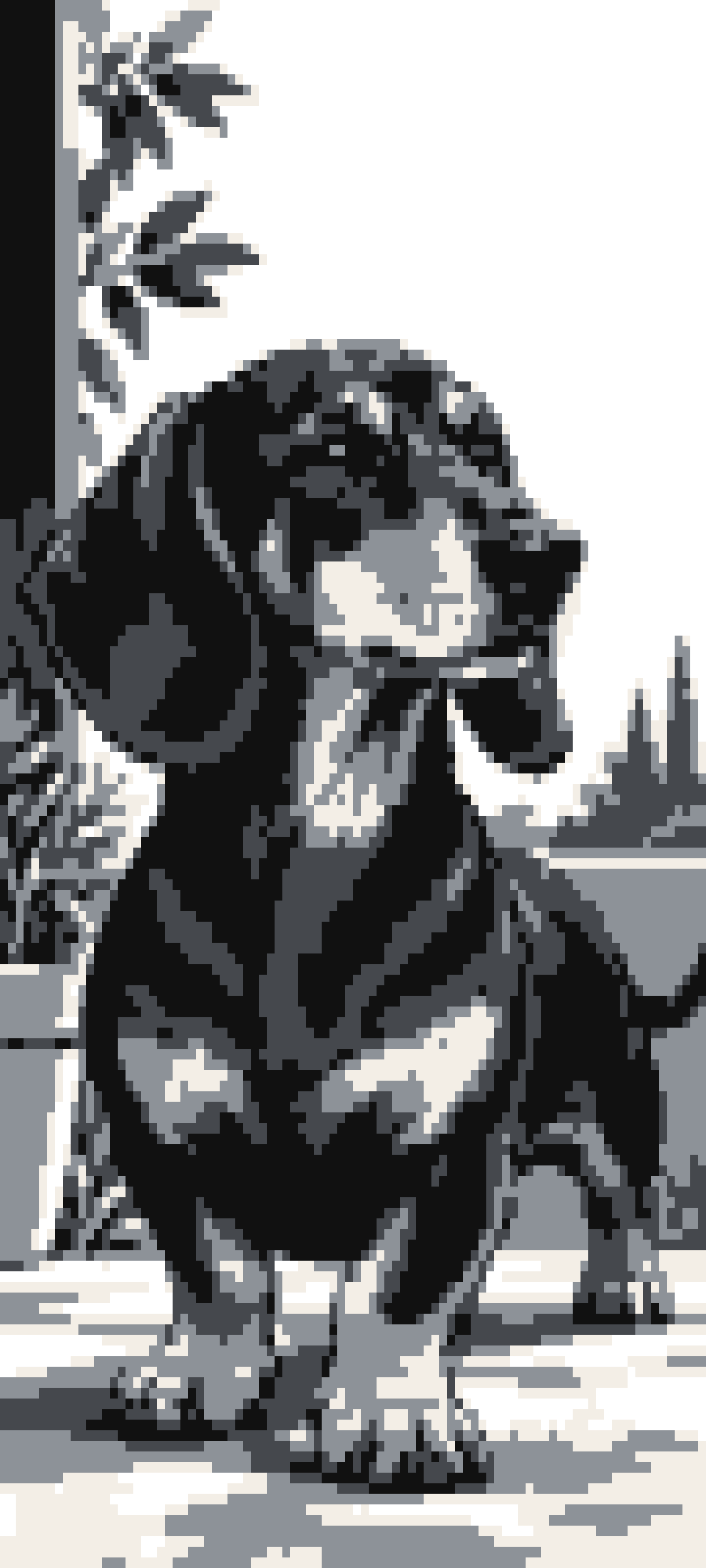 Dachshund door curtain design