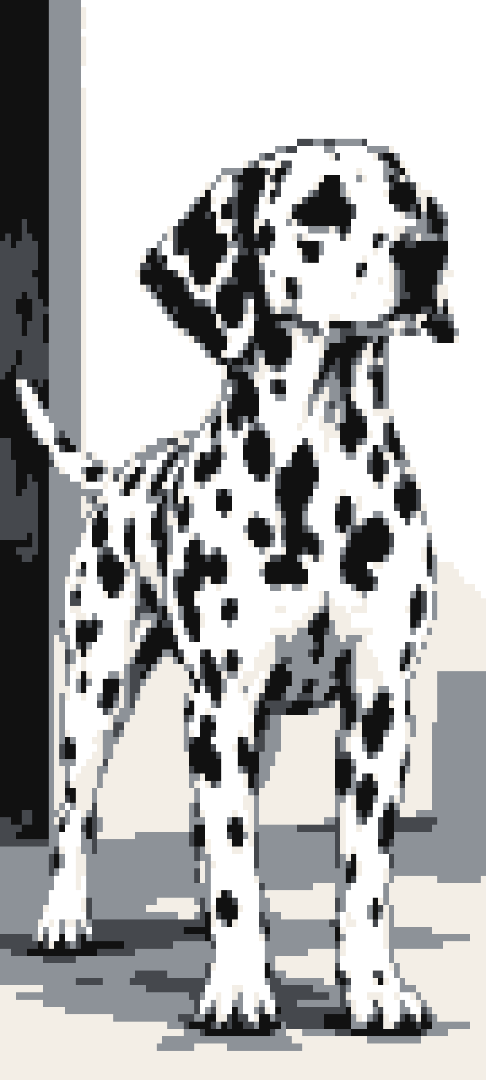 Dalmatian door curtain design