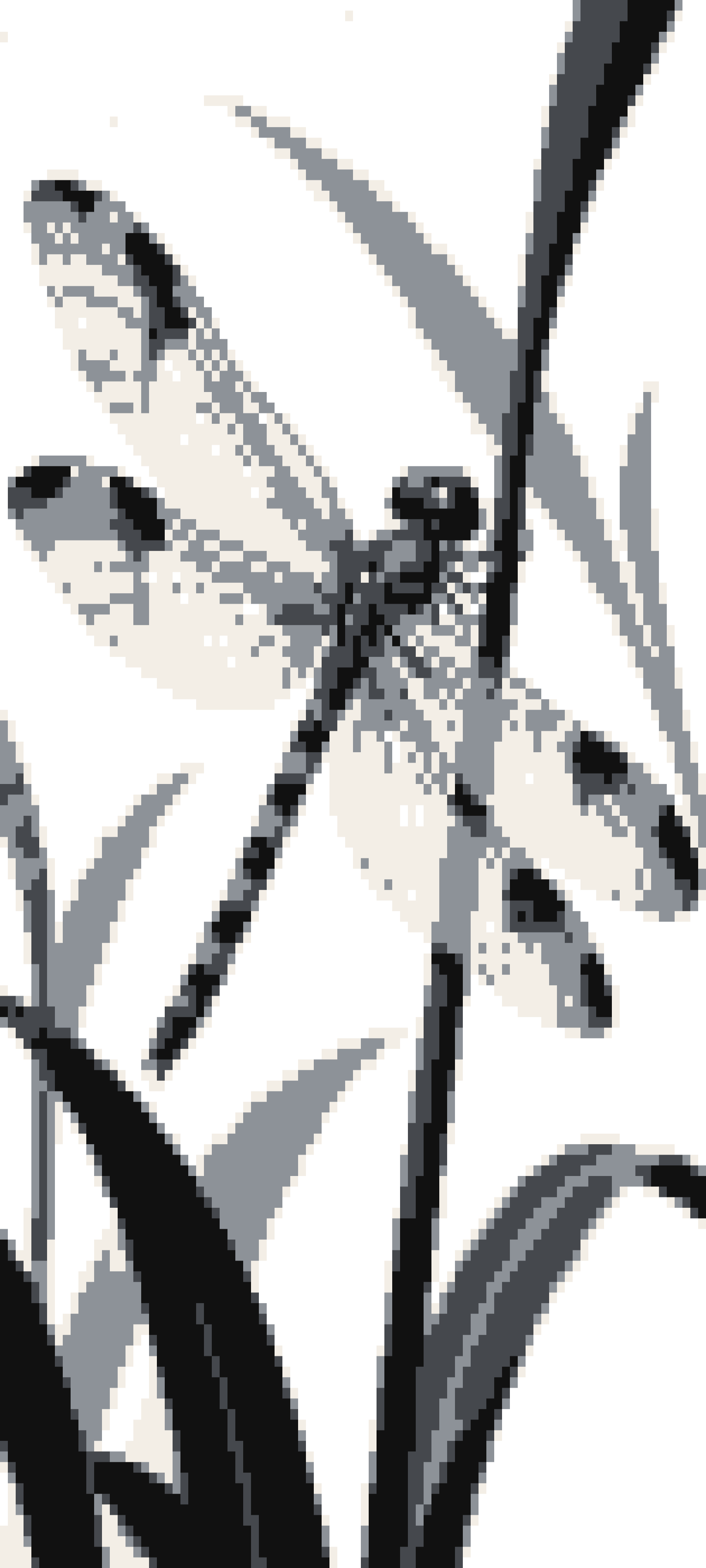 Dragonfly door curtain design