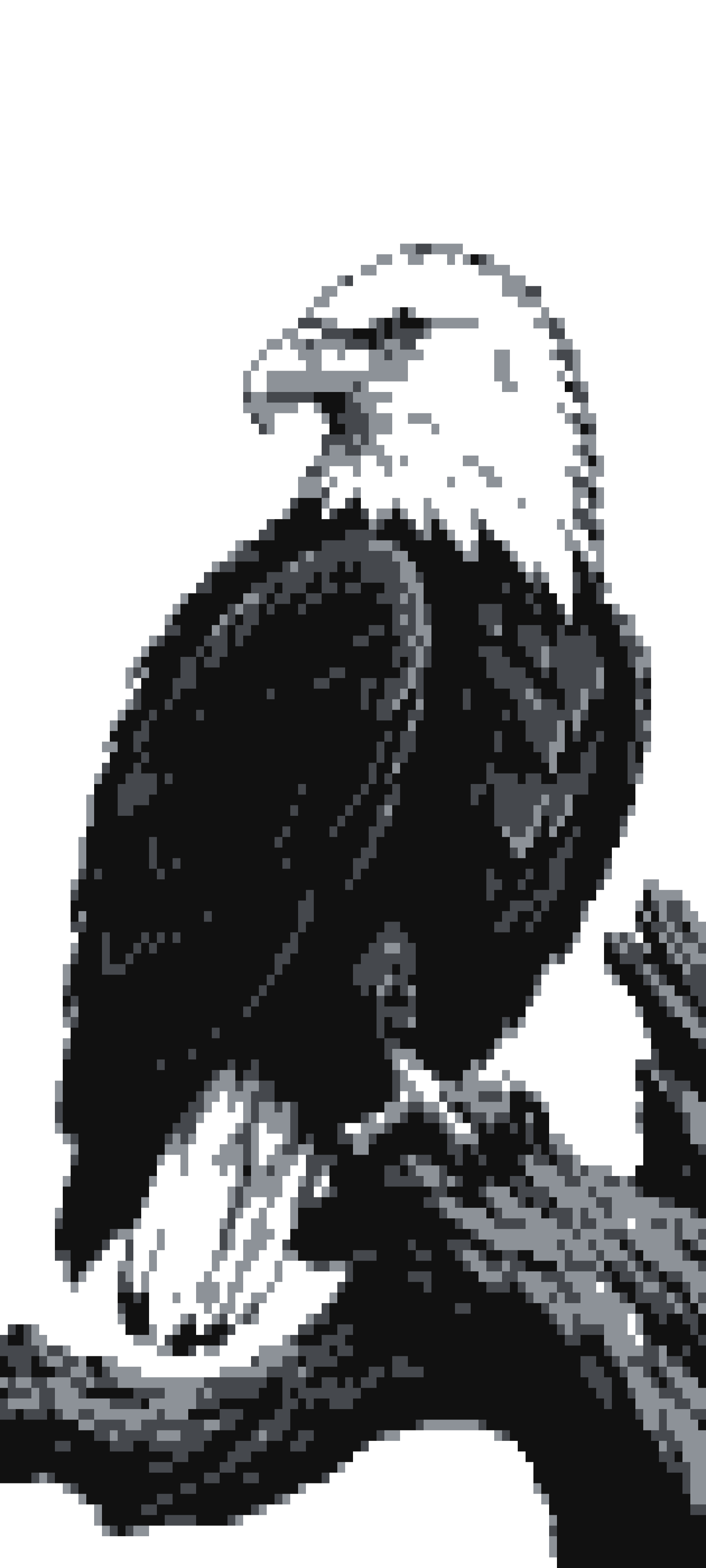 Eagle door curtain design