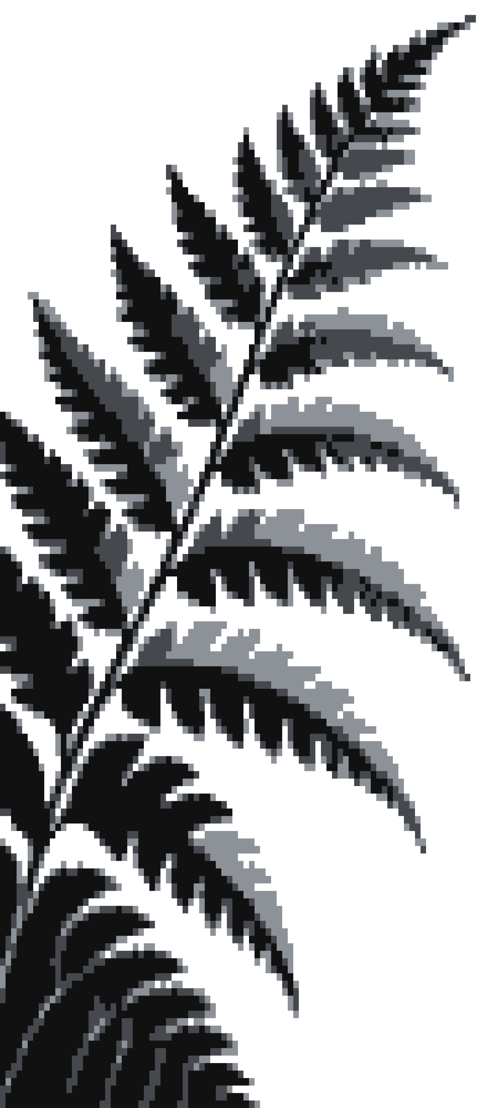 Fern door curtain design