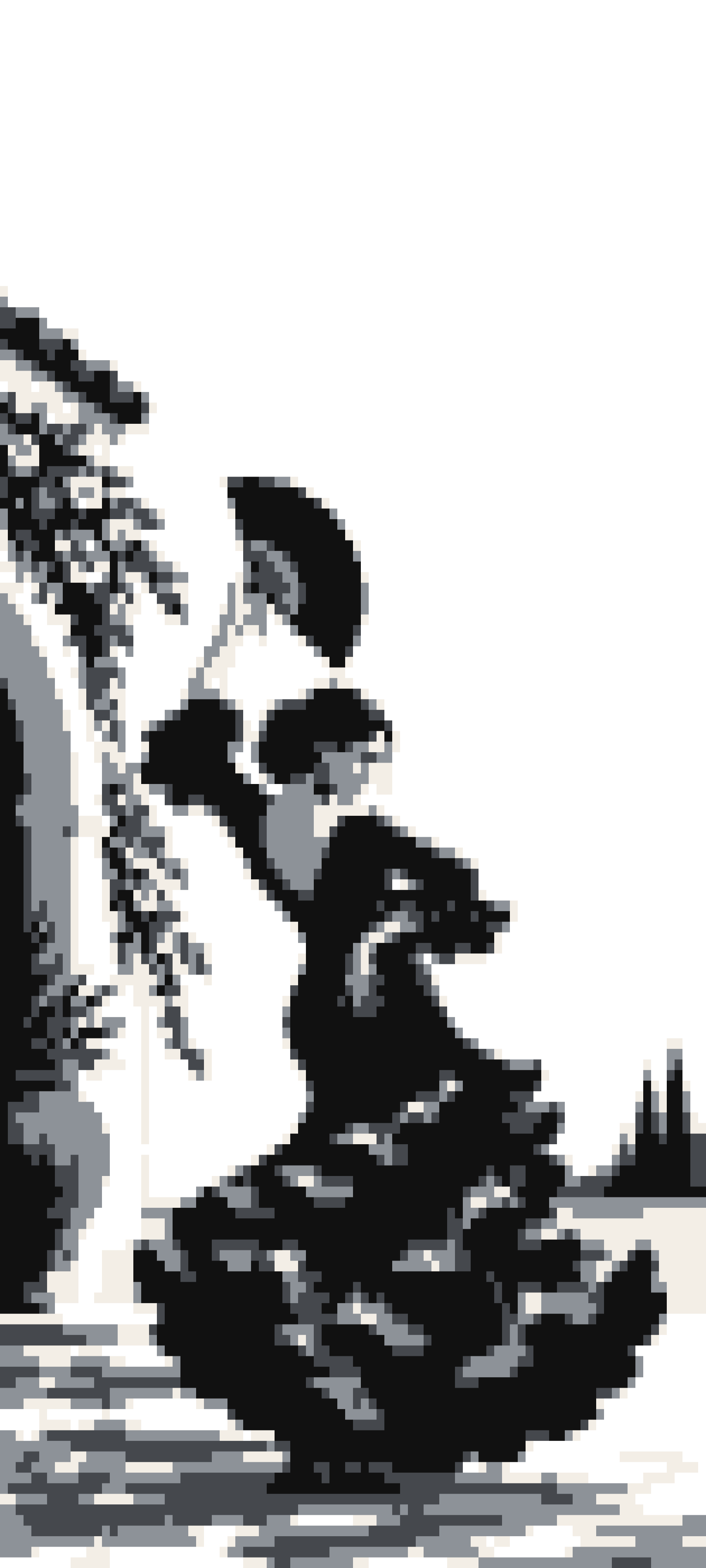 Flamenco door curtain design