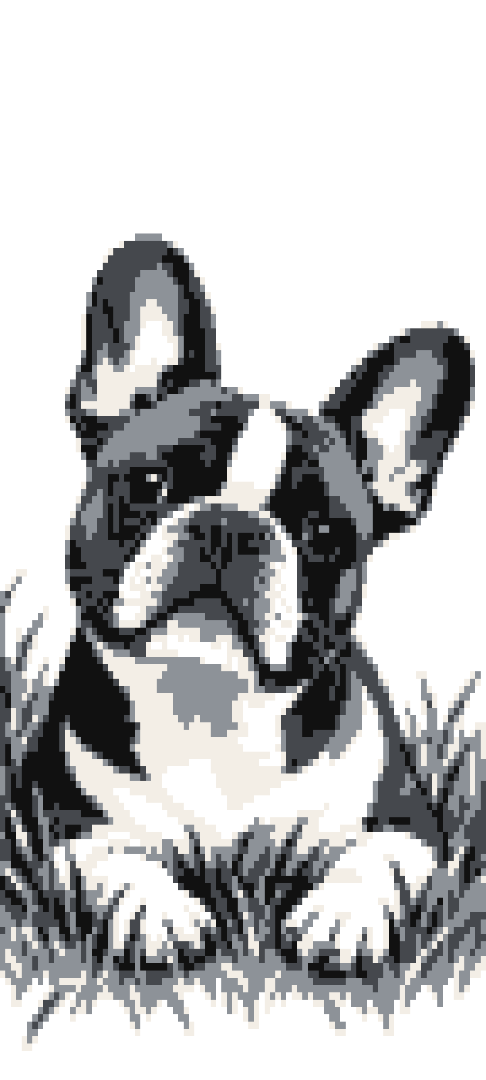Frenchie door curtain design
