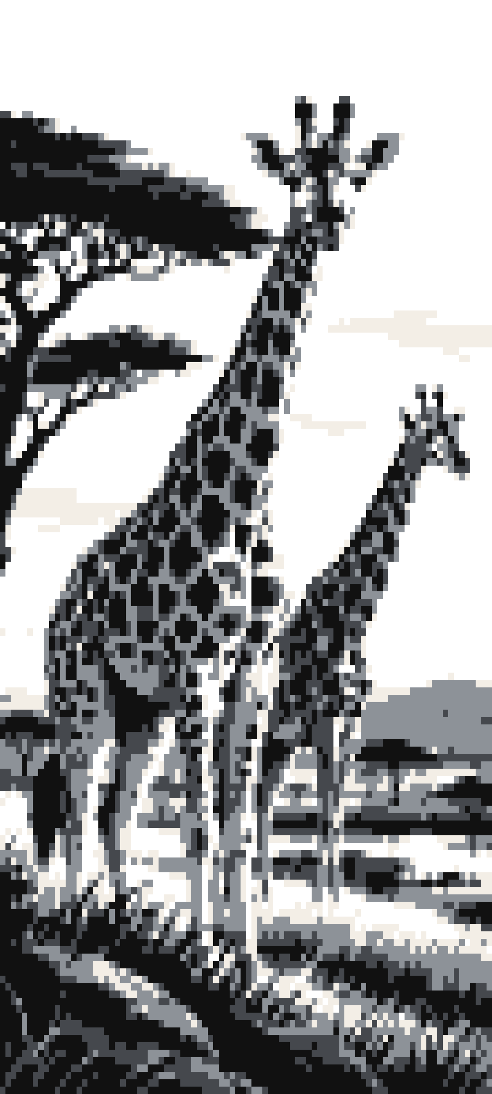 Giraffa door curtain design
