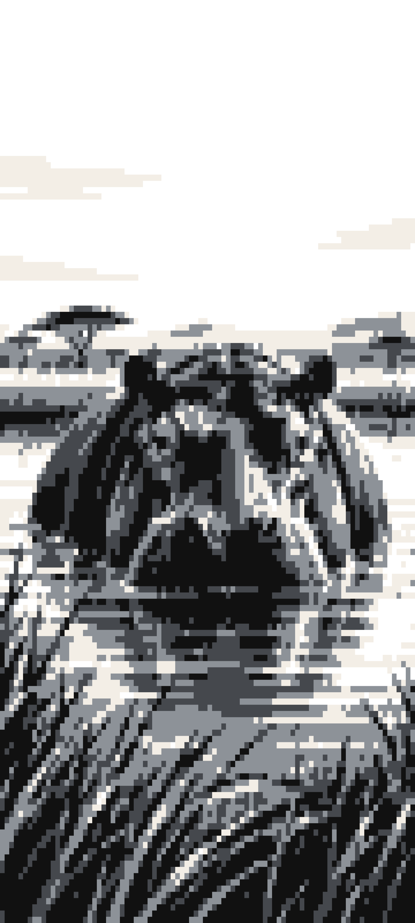 Hippo door curtain design