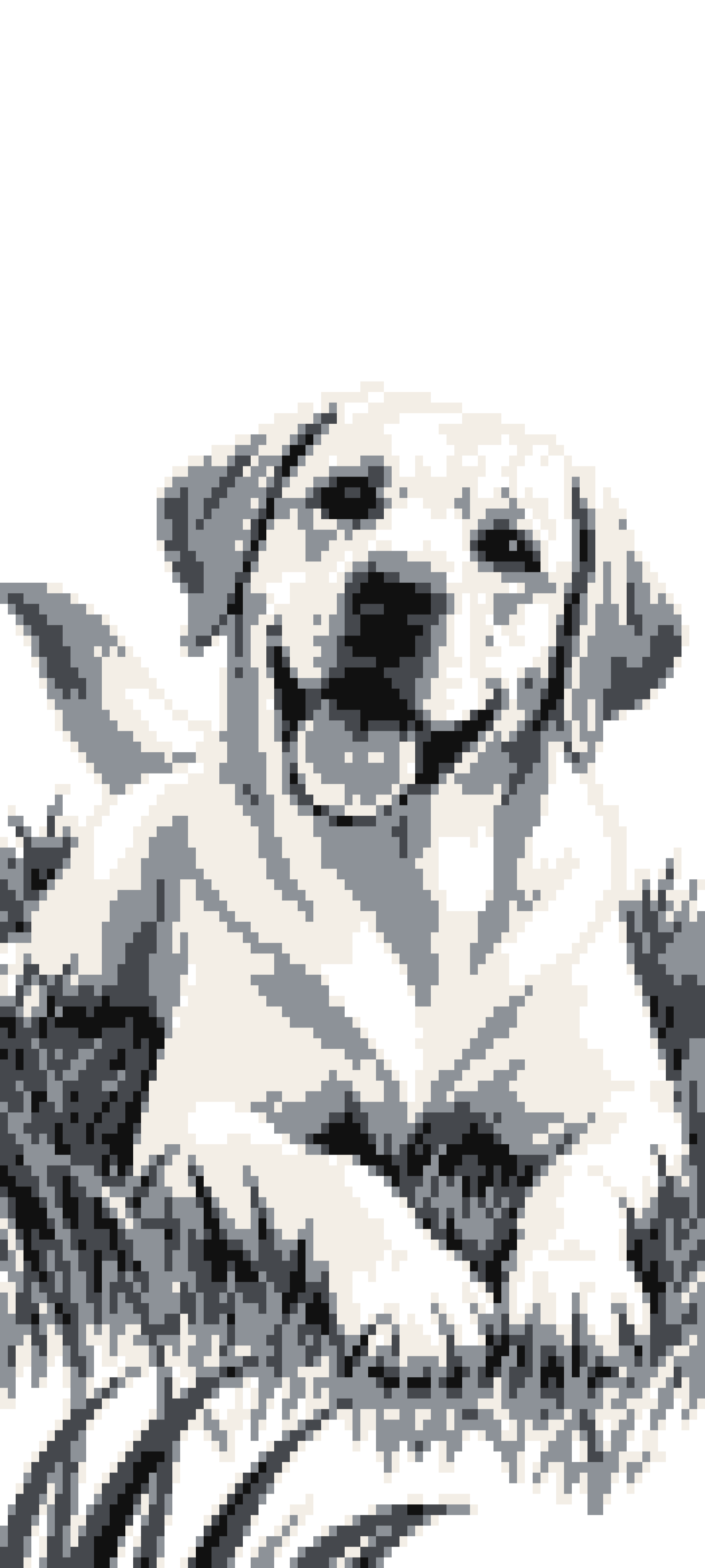 Labrador door curtain design