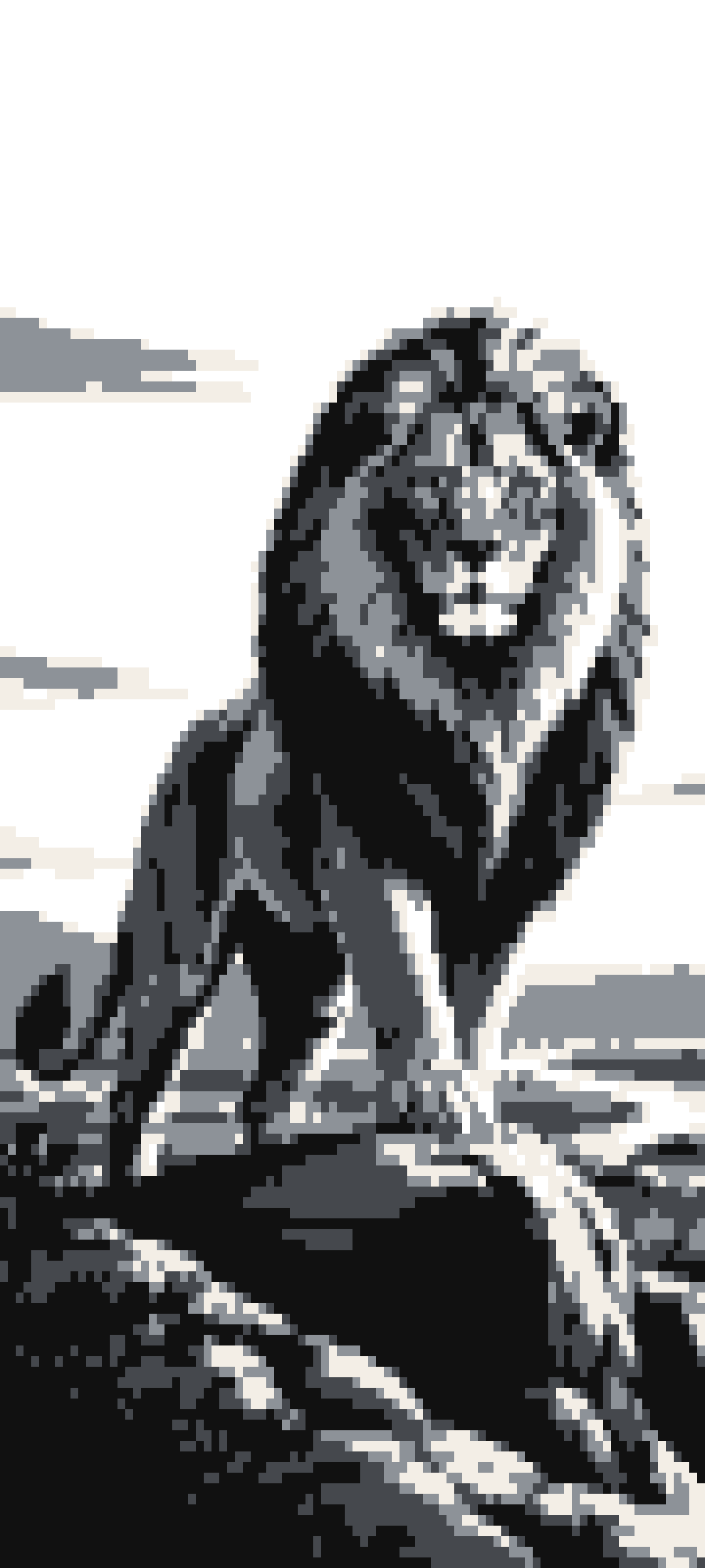 Leo door curtain design