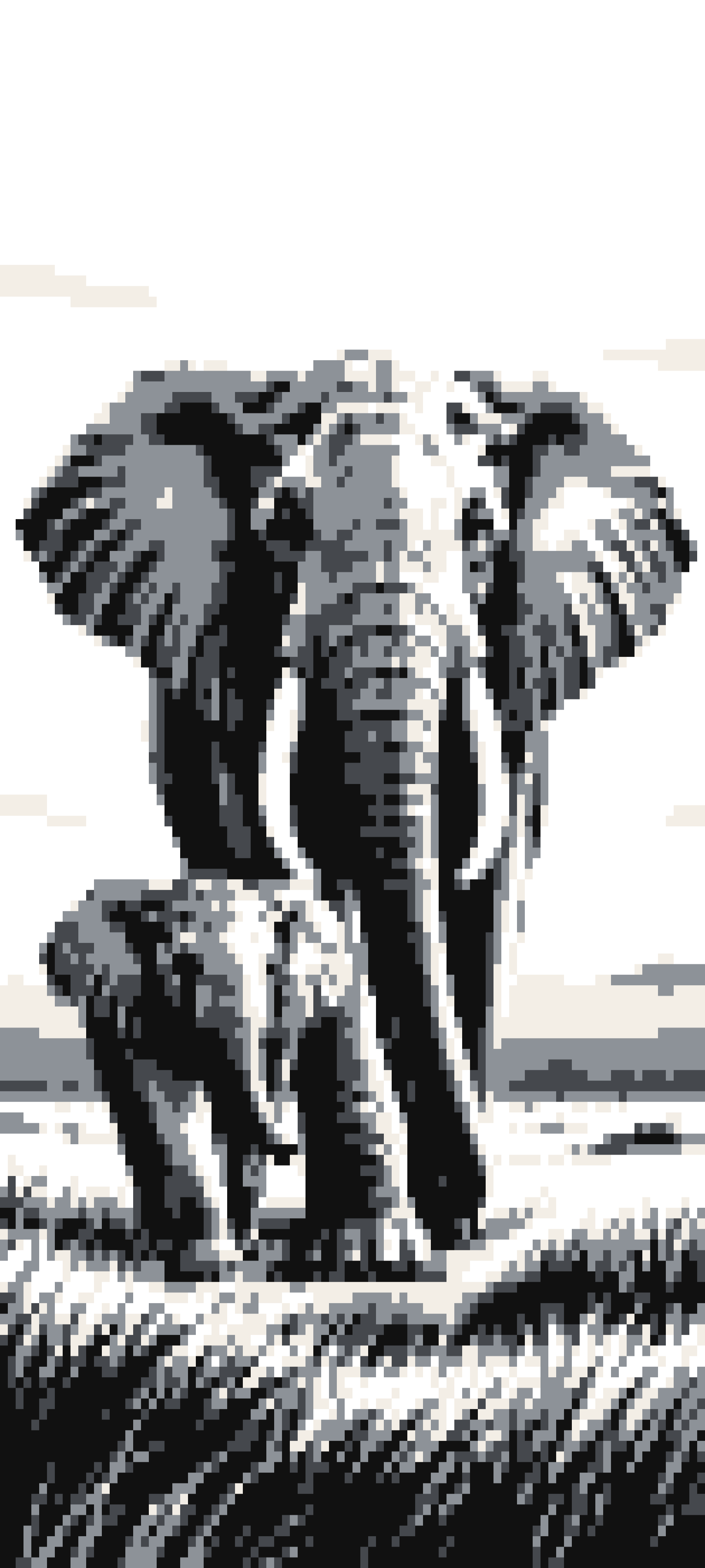 Loxodonta door curtain design
