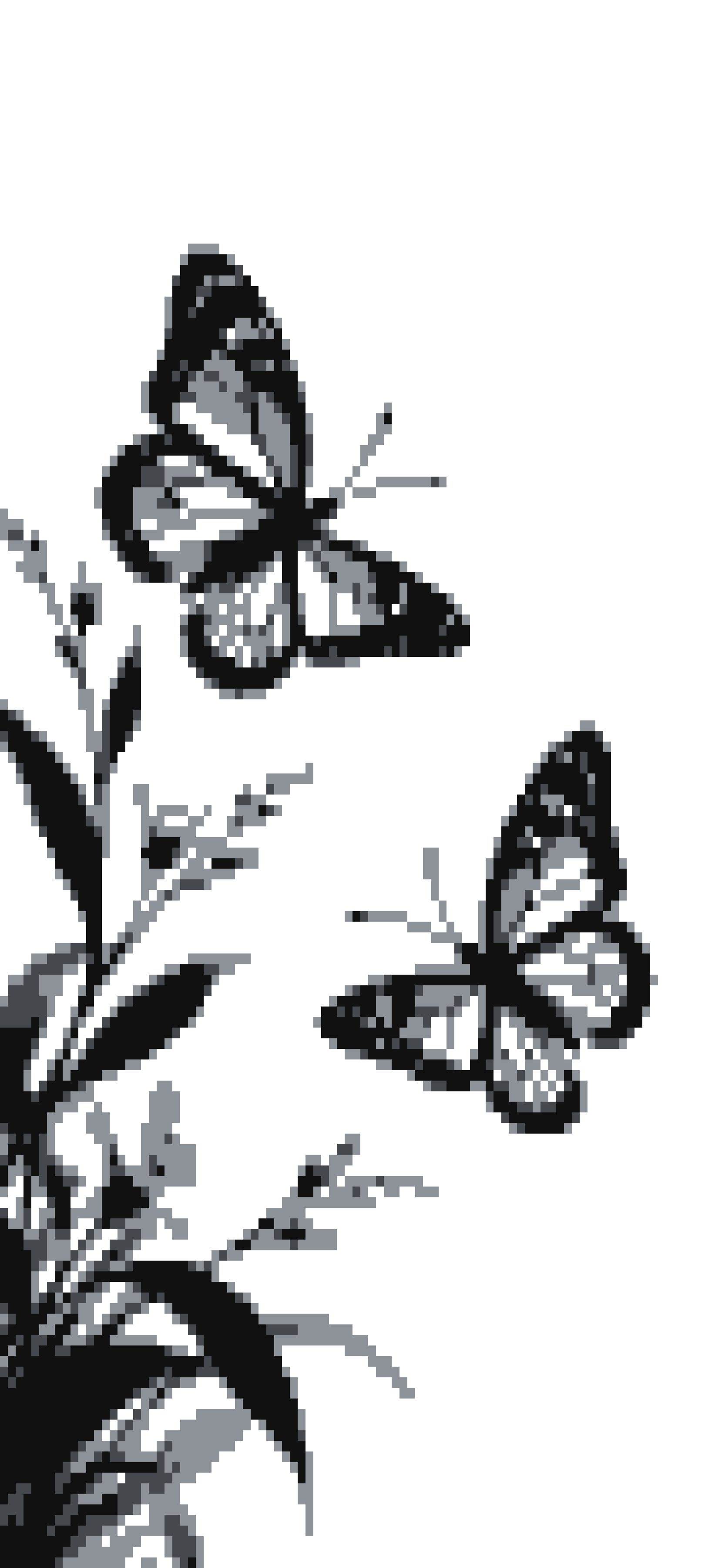 Monarch door curtain design