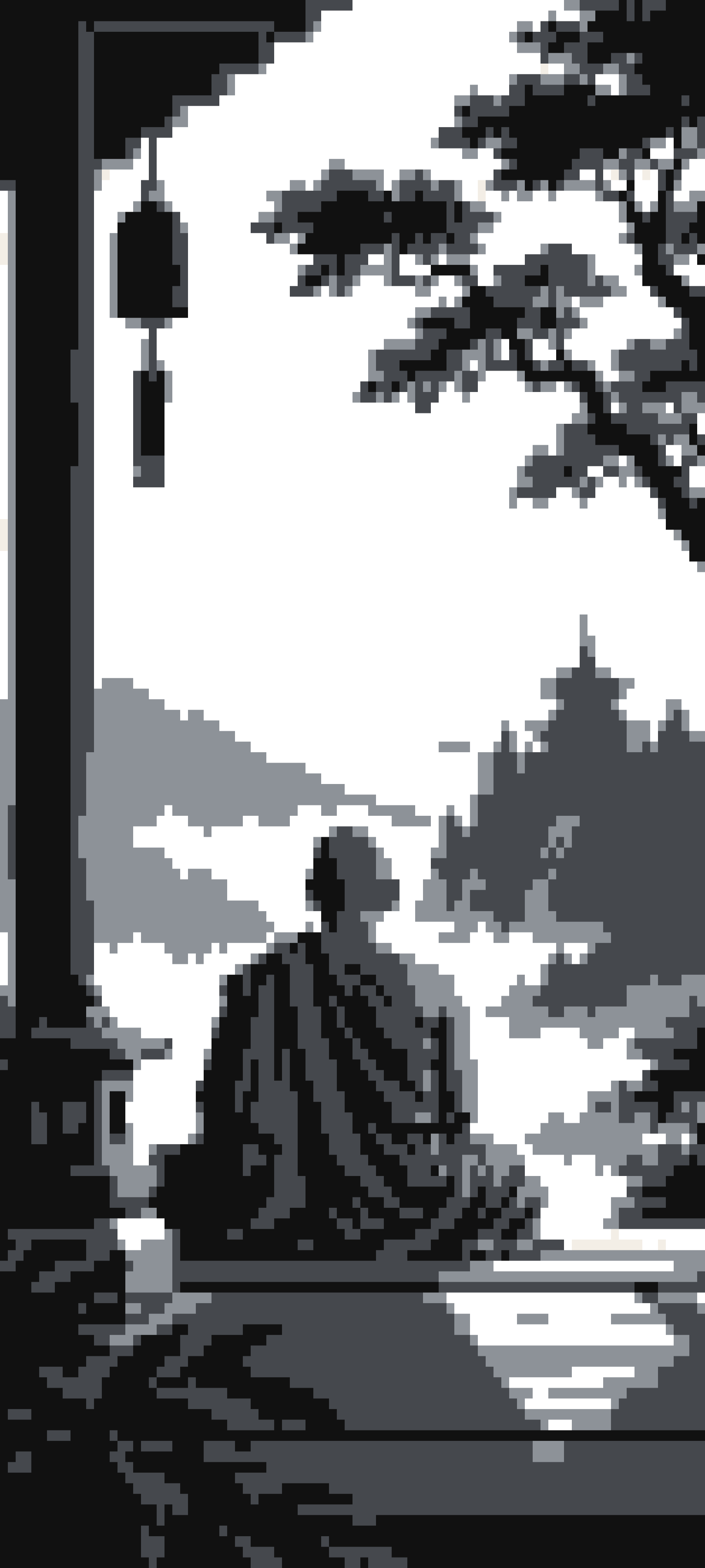 Monk door curtain design
