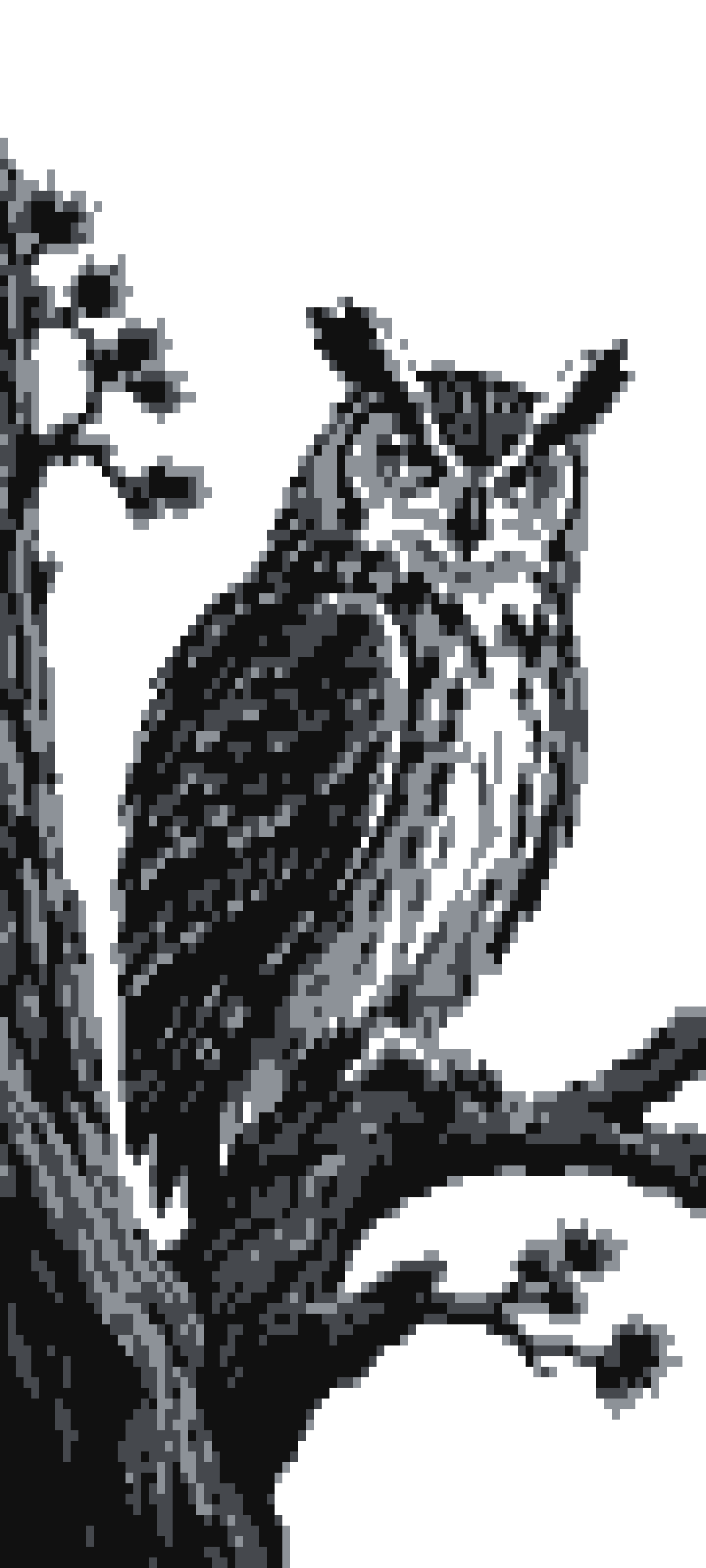 Owl door curtain design