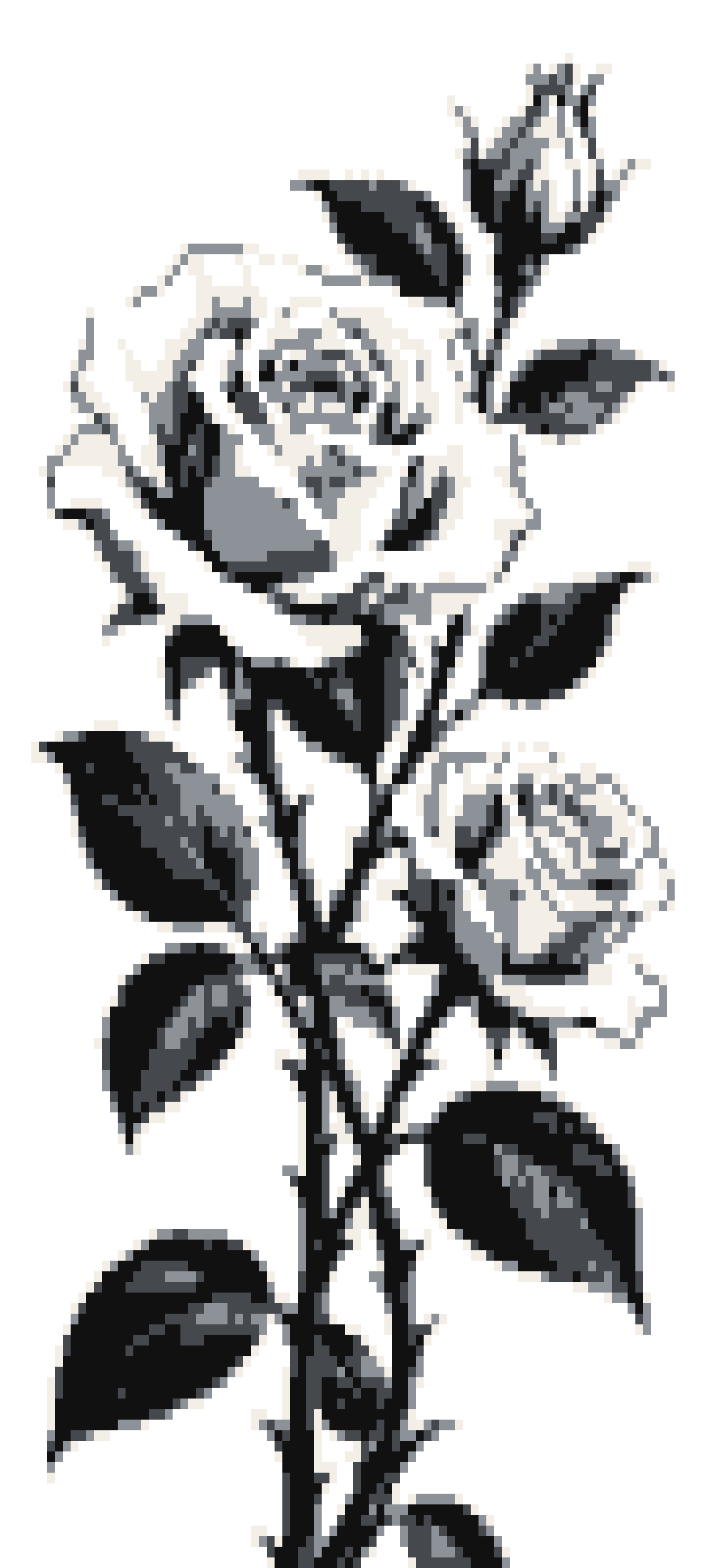 Roses door curtain design