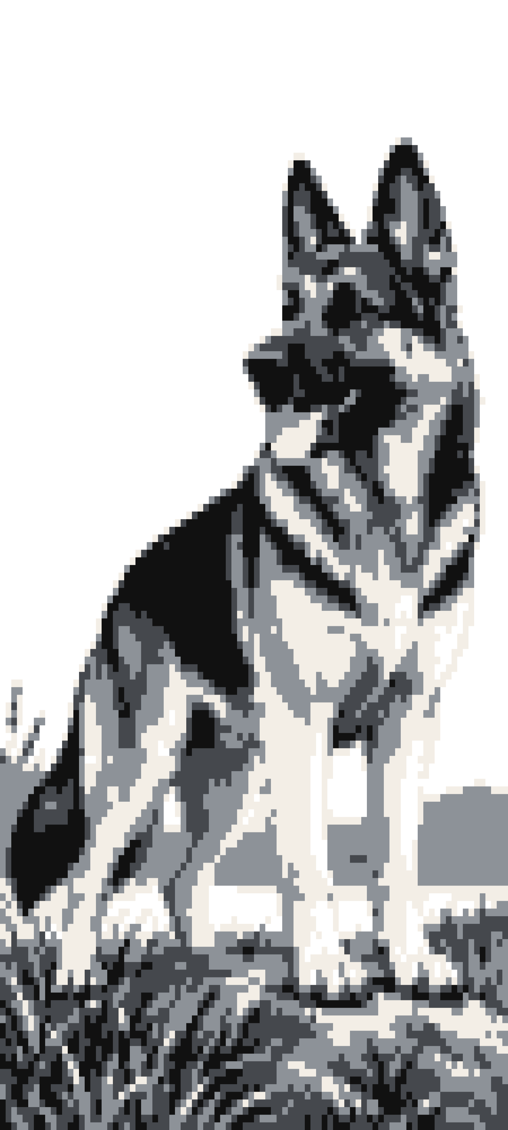 Shepherd door curtain design