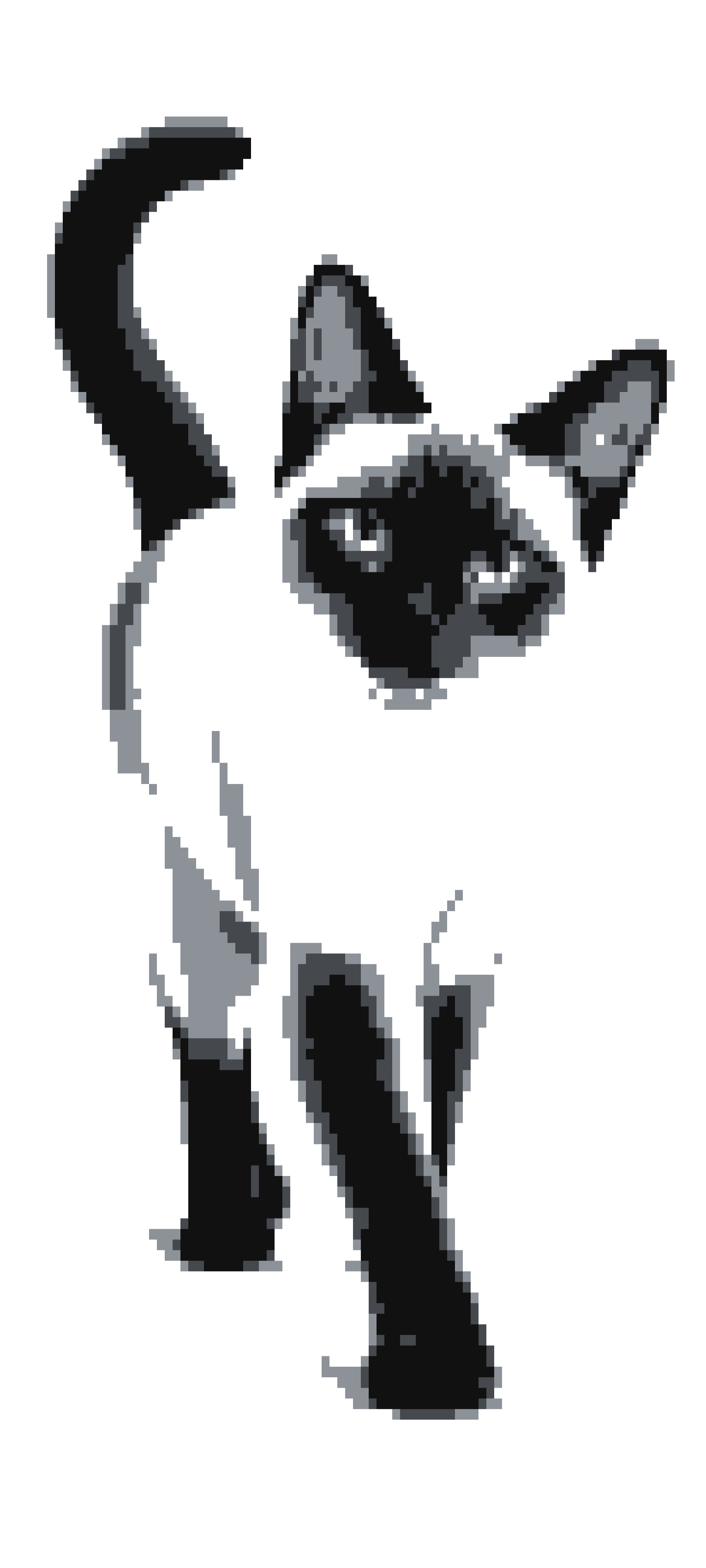 Siamese door curtain design