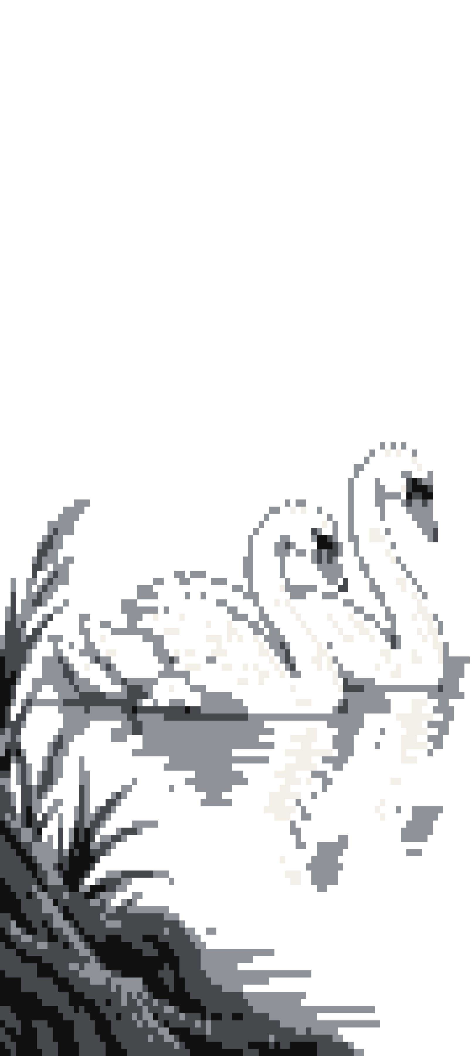 Swan door curtain design