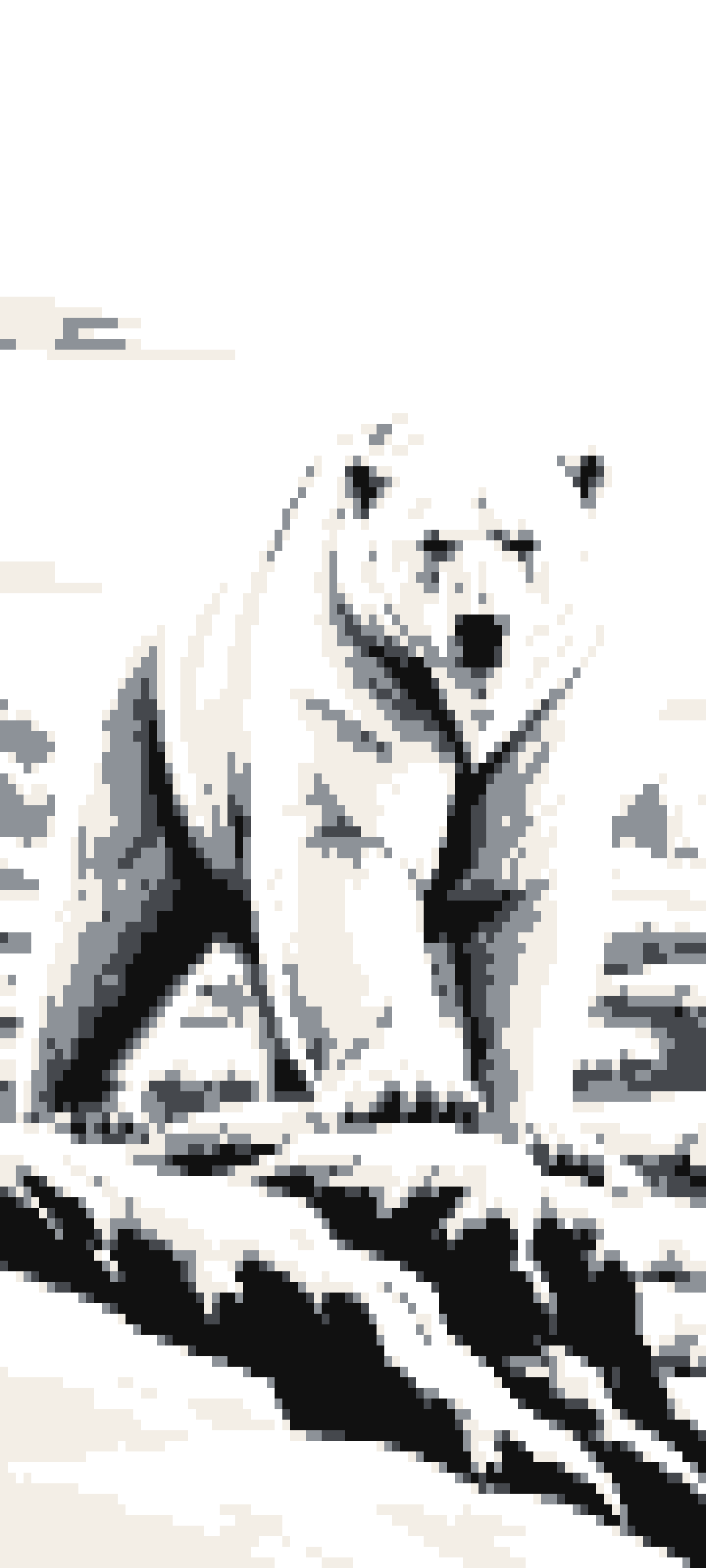 Ursus door curtain design
